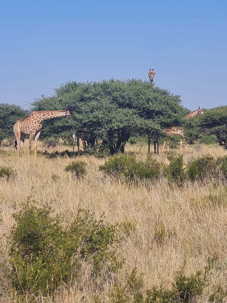 Commercial Property for Sale in Boshof Rural Free State
